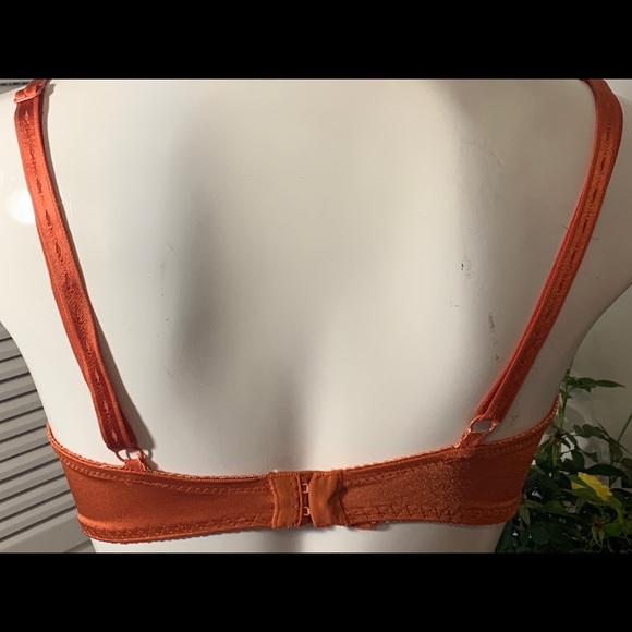 Easy solution clay colour bra - Picture 2 of 3